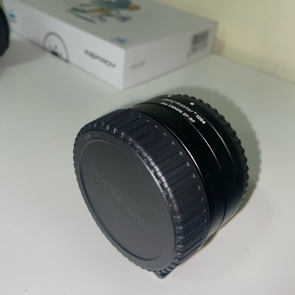 Canon R6 with Lens - Picture 9 of 13